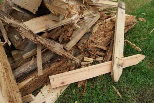 Profesionalios medžio grybo „Trobagrybio” naikinimo-šalinimo paslaugos nuo A iki Z